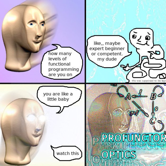PROFUNCTOR OPTICS. Click for source.